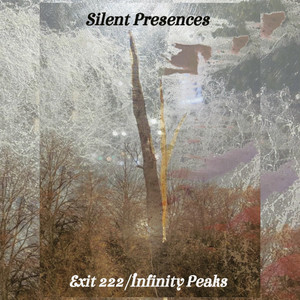Silent Presences