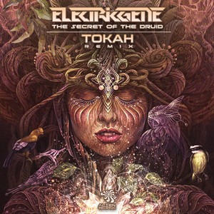 The Secret Of The Druid (Tokah Remix)