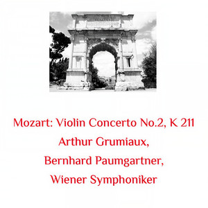 Violin Concerto No.2, K 211 - Allegro moderato