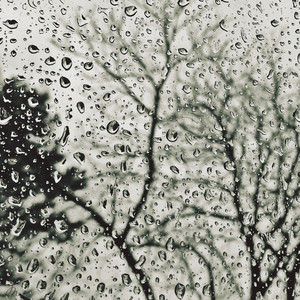 #1 Loopable Rain & Water Sounds for Sleep and Serenity