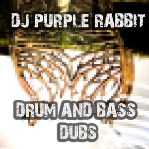 DJ Purple Rabbit Drum And Bass Dubs (Explicit)