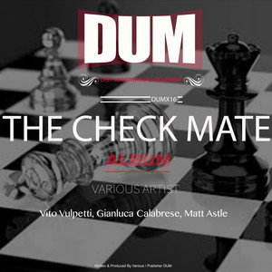 THE CHECK MATE