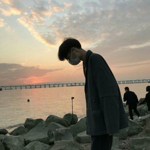怎么说我不爱你封面