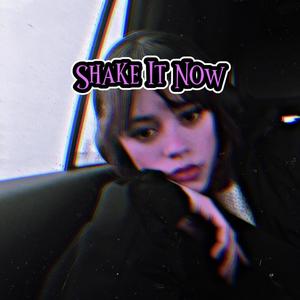 Shake It Now (Explicit)