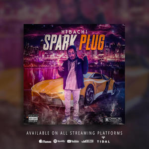 Spark Plug (Explicit)