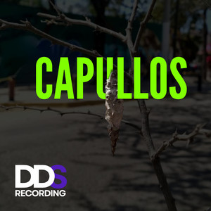 Capullos