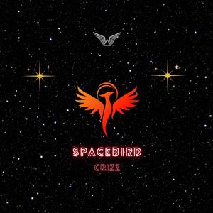 Spacebird