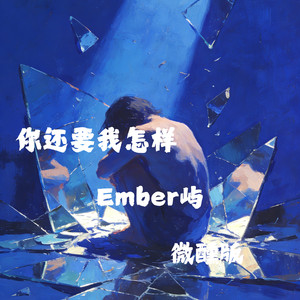 你还要我怎样 (微醺版)封面
