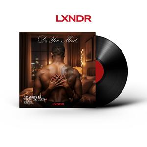 Do You Mind (feat. LXNDR)