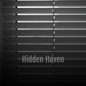 Shots in the Bedroom