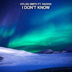 I Don't Know (feat. Raddix)