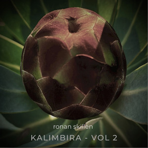 Kalimbira Vol. 2