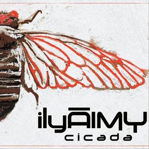 Cicada