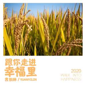 跟你走进幸福里