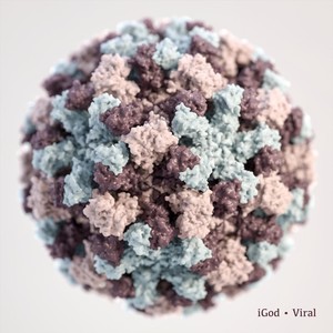 A Near Empty Flight to Mexico