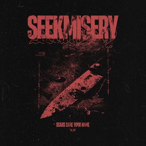 Scars Bare Your Name (feat. To The Grave) (Explicit)