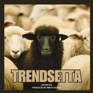 Trendsetta