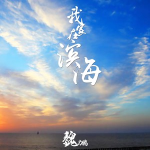 我家在滨海