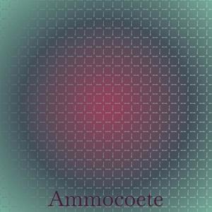 Ammocoete