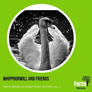 Whippoorwill and Friends - North American Forest Night Sounds, Vol. 2