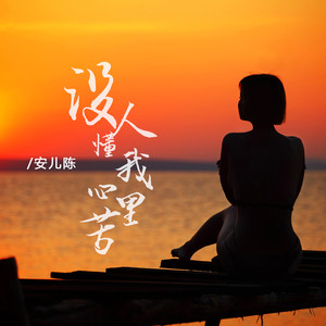 没人懂我心里苦 (DJ京仔版)封面