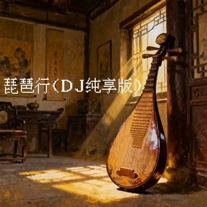 琵琶行 (DJ纯享版)