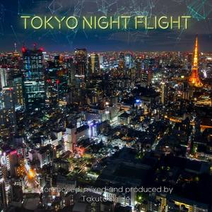 Tokyo Night Flight