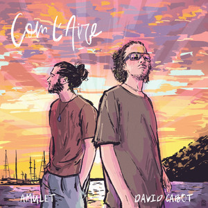 David Cabot - Com l'Aire