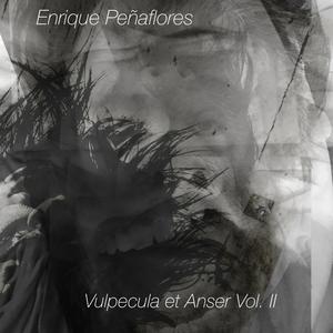 Vulpecula et Anser Vol. II