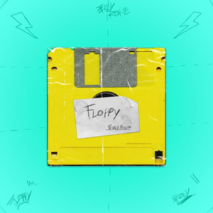 Floppy