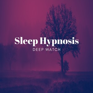 Sleep Hypnosis