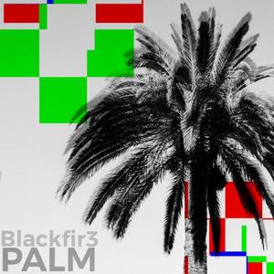 Palm (Explicit)