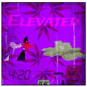 Elevated (feat. Dtrxll) [Explicit]