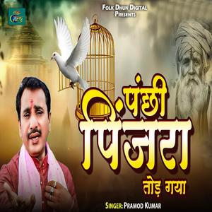 Panchhi Pinjra Tod Gaya