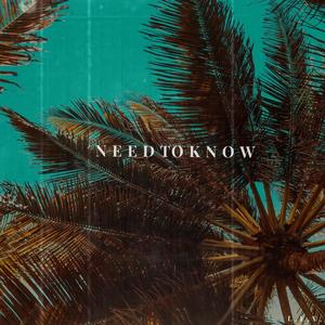 Need to Know (Explicit)