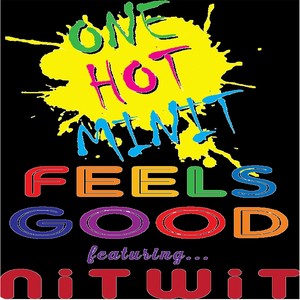 Feels Good (feat. Nitwit)