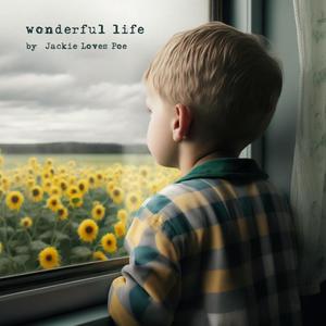 Wonderful Life (Radio Edit)