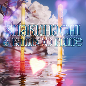 Shaman's Healing Touch