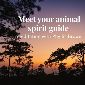 Meet Your Animal Spirit Guide