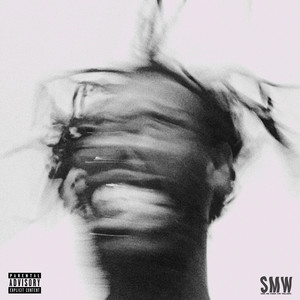 S.M.W (Save Me from the Willows) [Explicit]