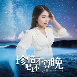 珍惜吧还不算晚 (DJ月之歌版)