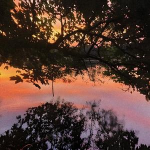 cherry flavored nights (Explicit)