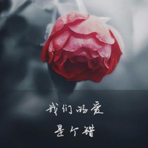 我们的爱是个错