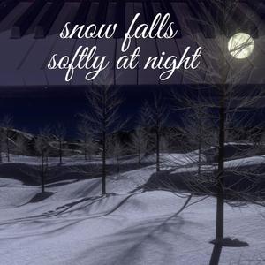 Snow Falls Softly at Night