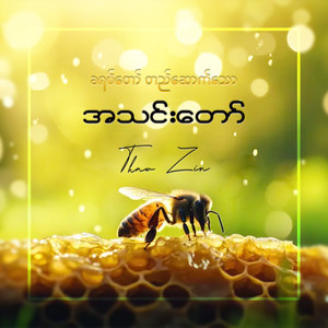 ခရစ်တော်တည်ဆောက်သောအသင်းတော်