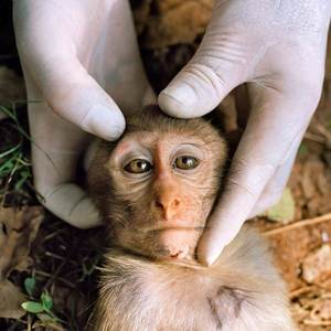 Did You Miss Me? (Explicit)