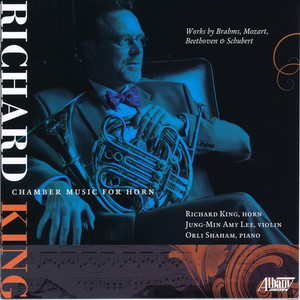Trio for Piano, Violin, and Horn, Op. 40 - I
