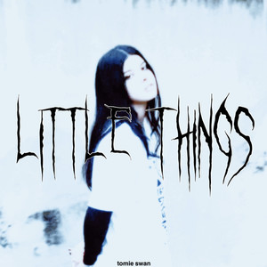 Little Things (Explicit)