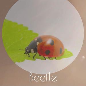 Beetle