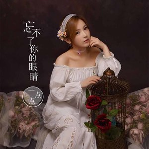 忘不了你的眼睛